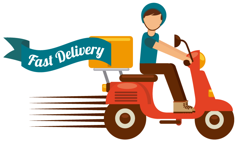 Our services